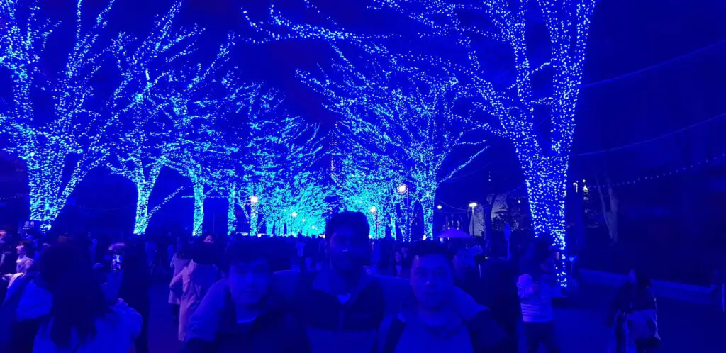 Christmas lights at Yoyogi Park