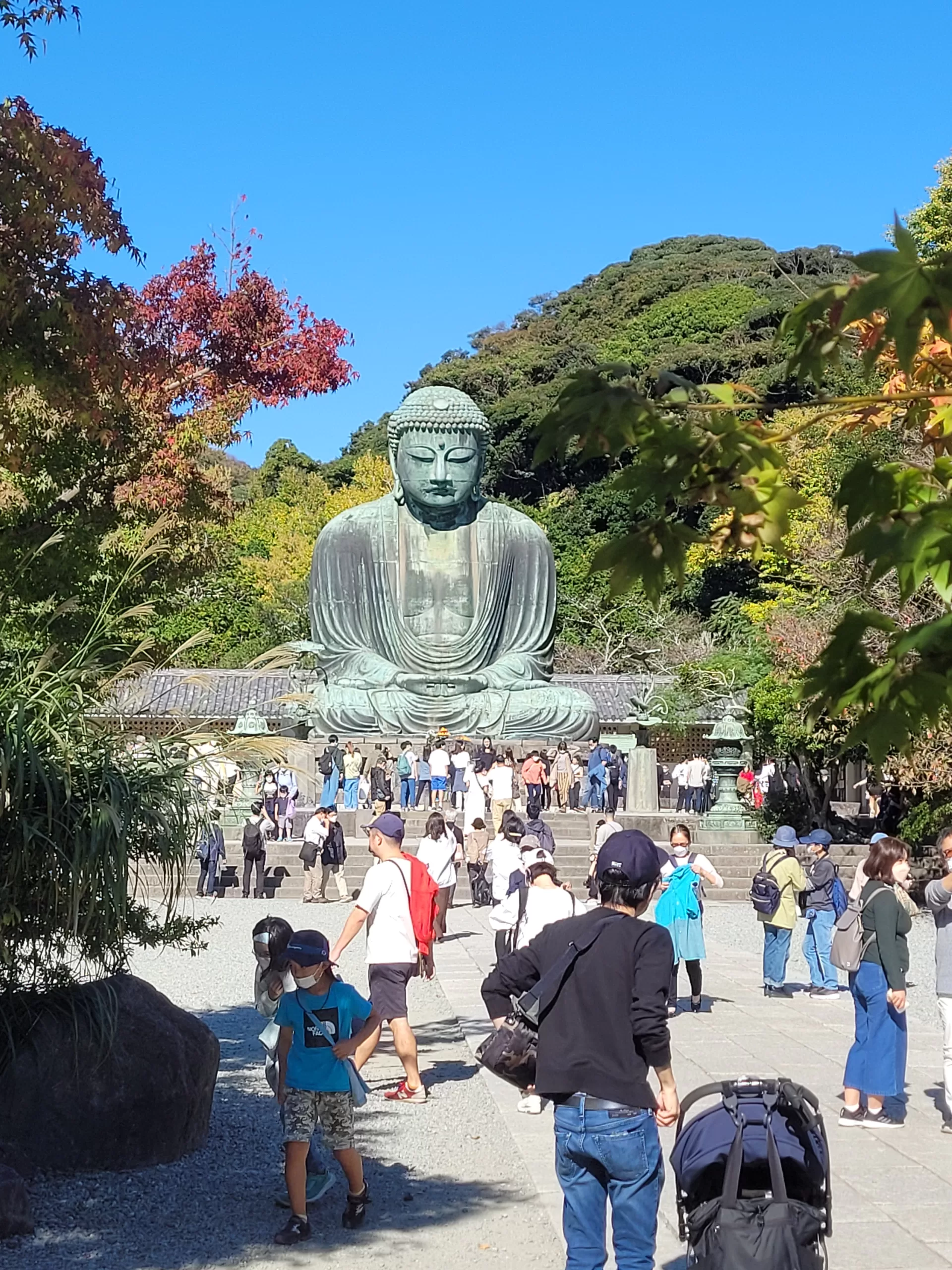 Kamakura is Japan’s hub for breathtaking autumn leaves