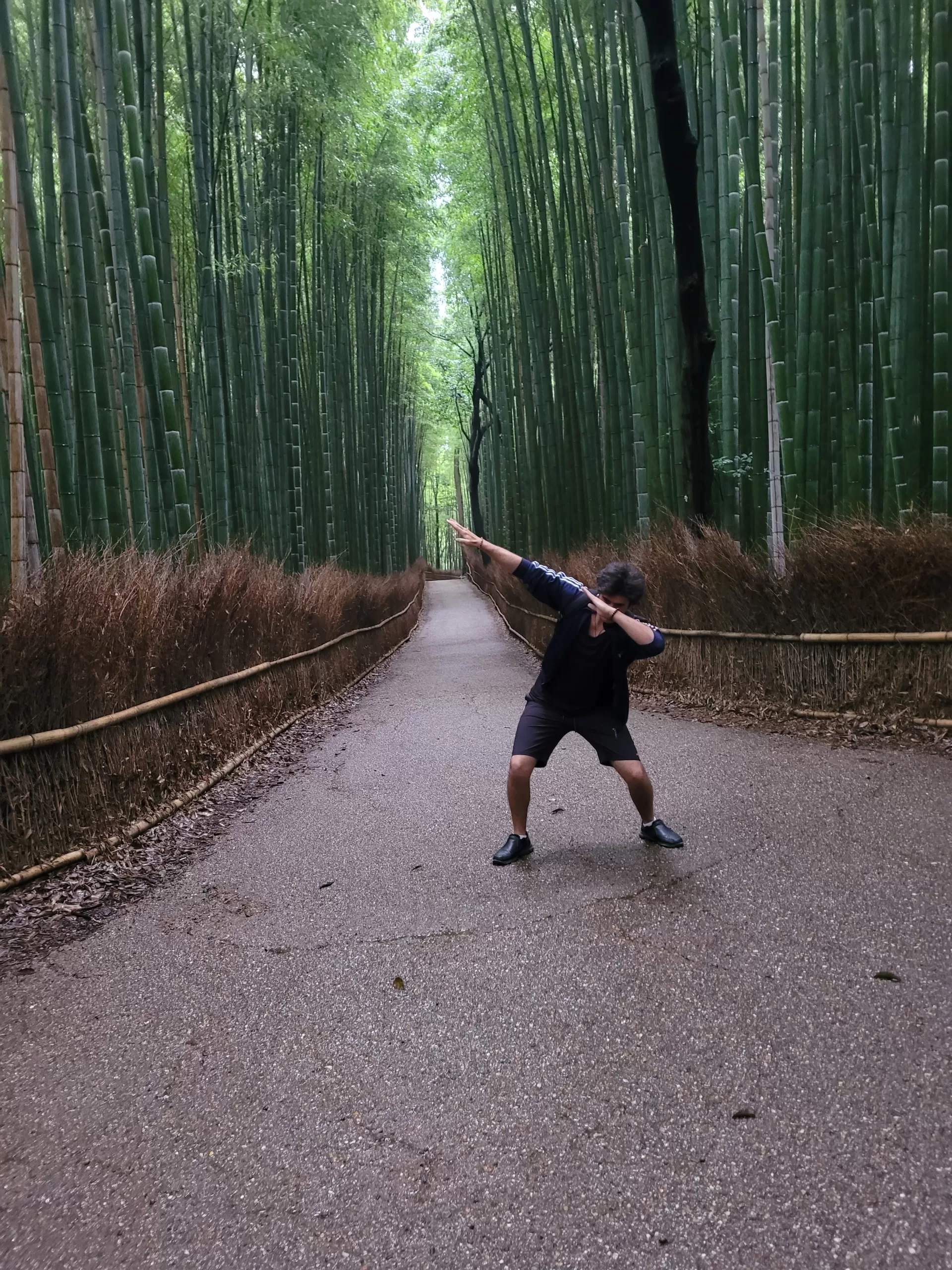 A day in Arashiyama – Kyoto’s “Place of Scenic Beauty”