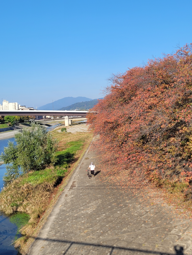 Autumn in Kyoto 2023 – the best places to see autumn leaves