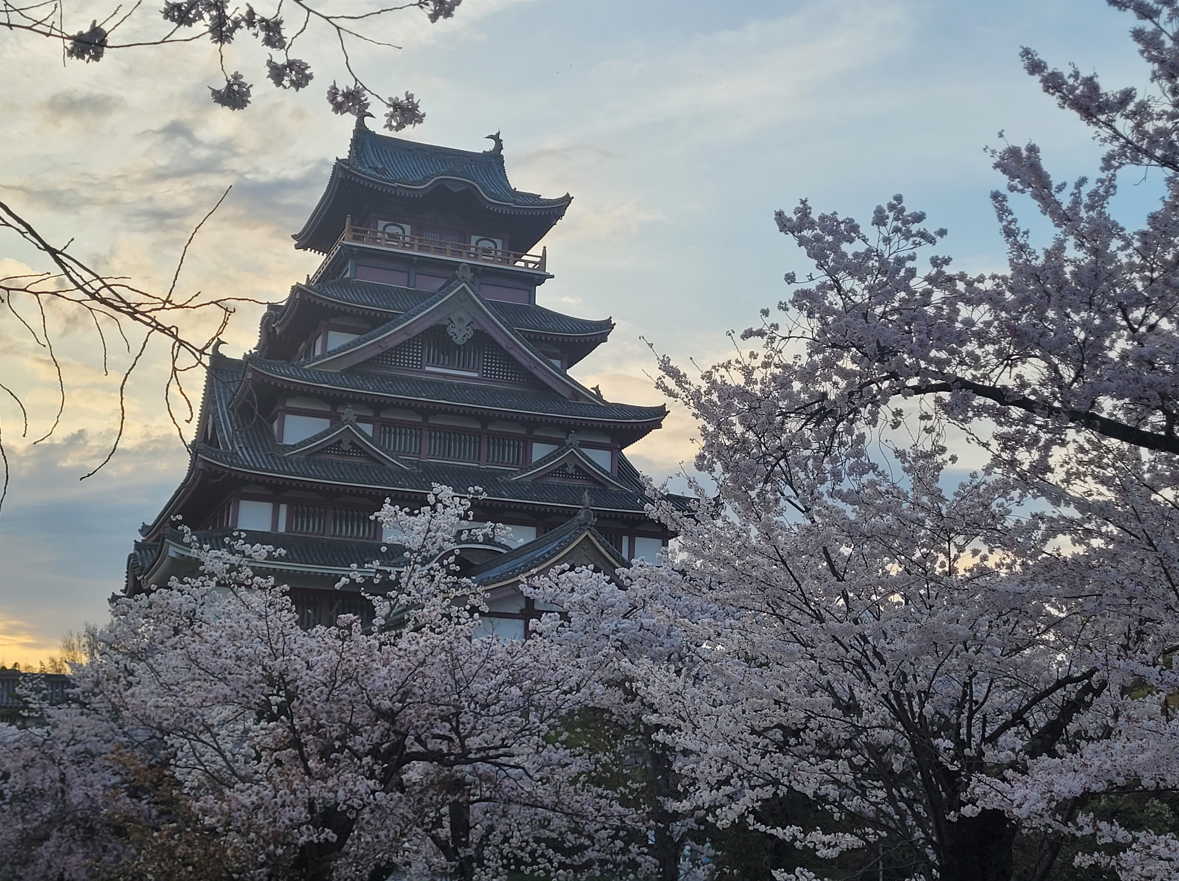 Fushimi Momoyama Castle is abundant with cherry blossom beauty