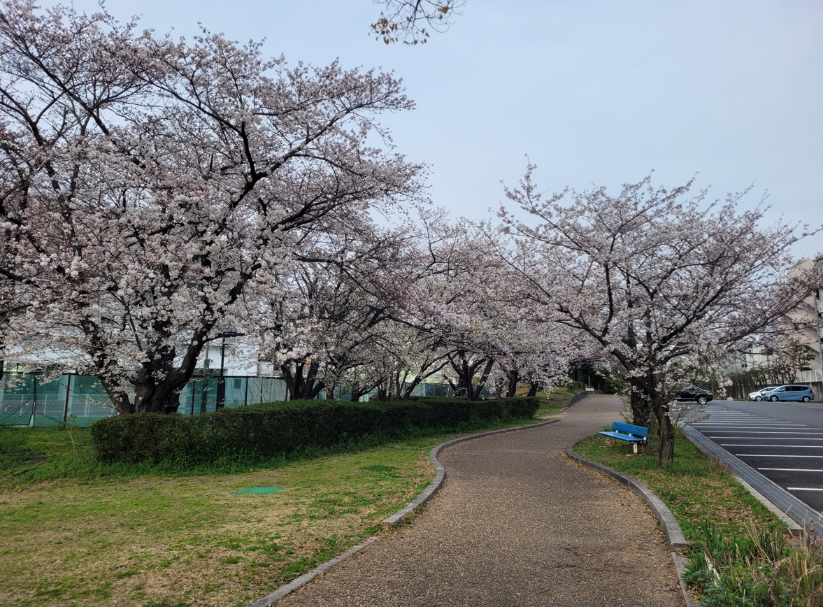 Fushimi Port Park is a haven for outdoor activities and scenic strolls