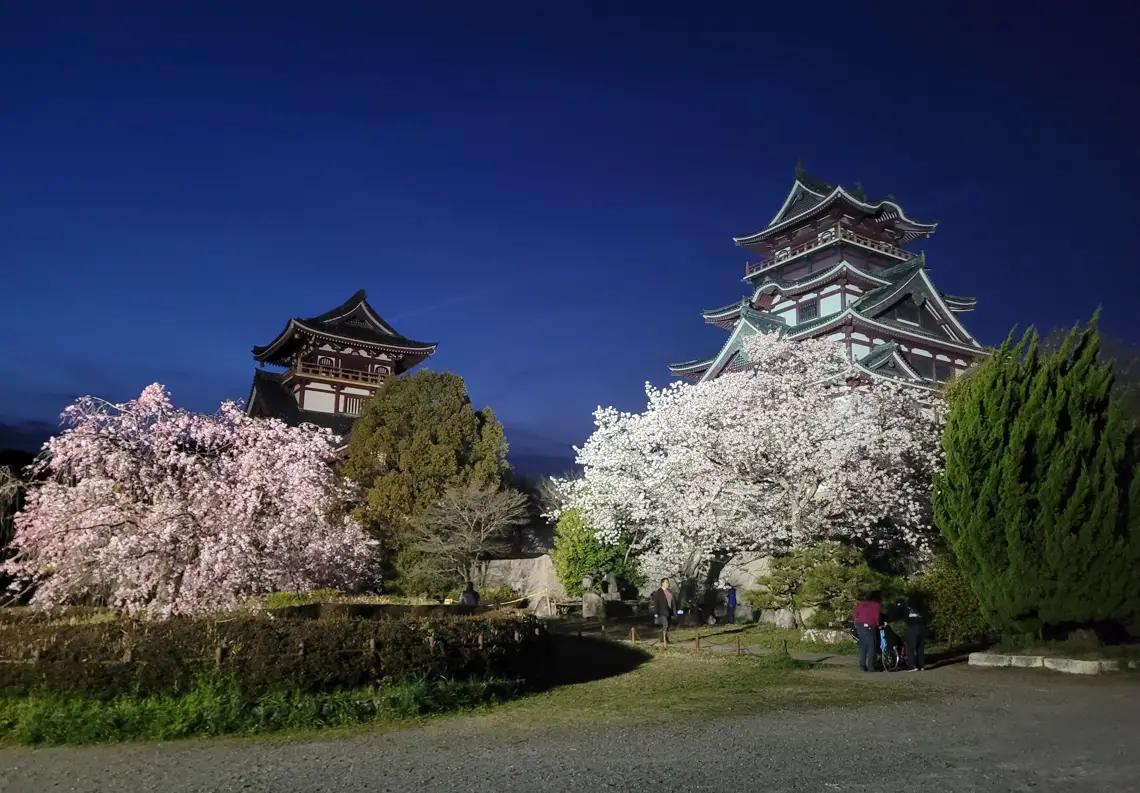 3 reasons you should see Japan’s cherry blossoms at night