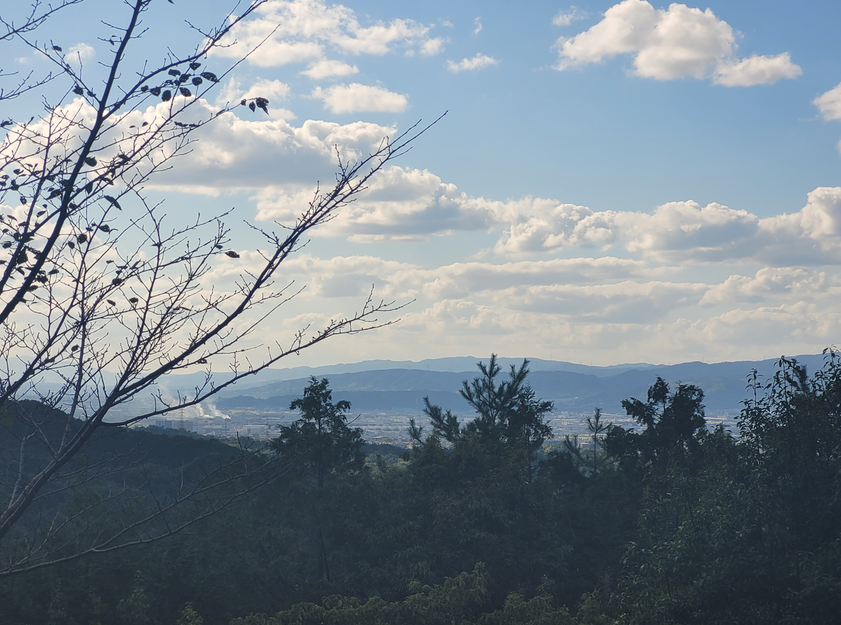 Umanose Observation Deck offers scenic views of Amagase Forest