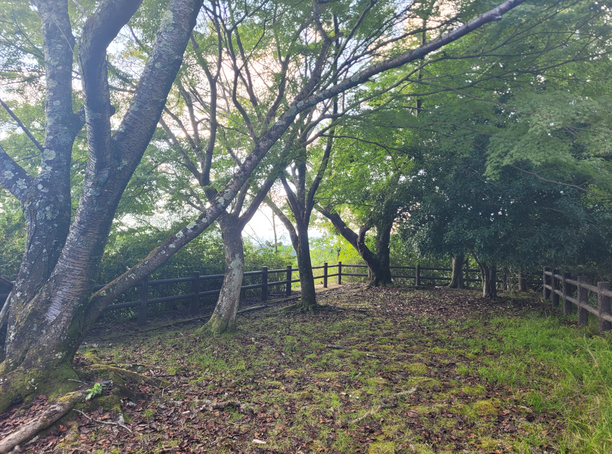 Amagase Forest Park is home to some of Kyoto’s best scenery