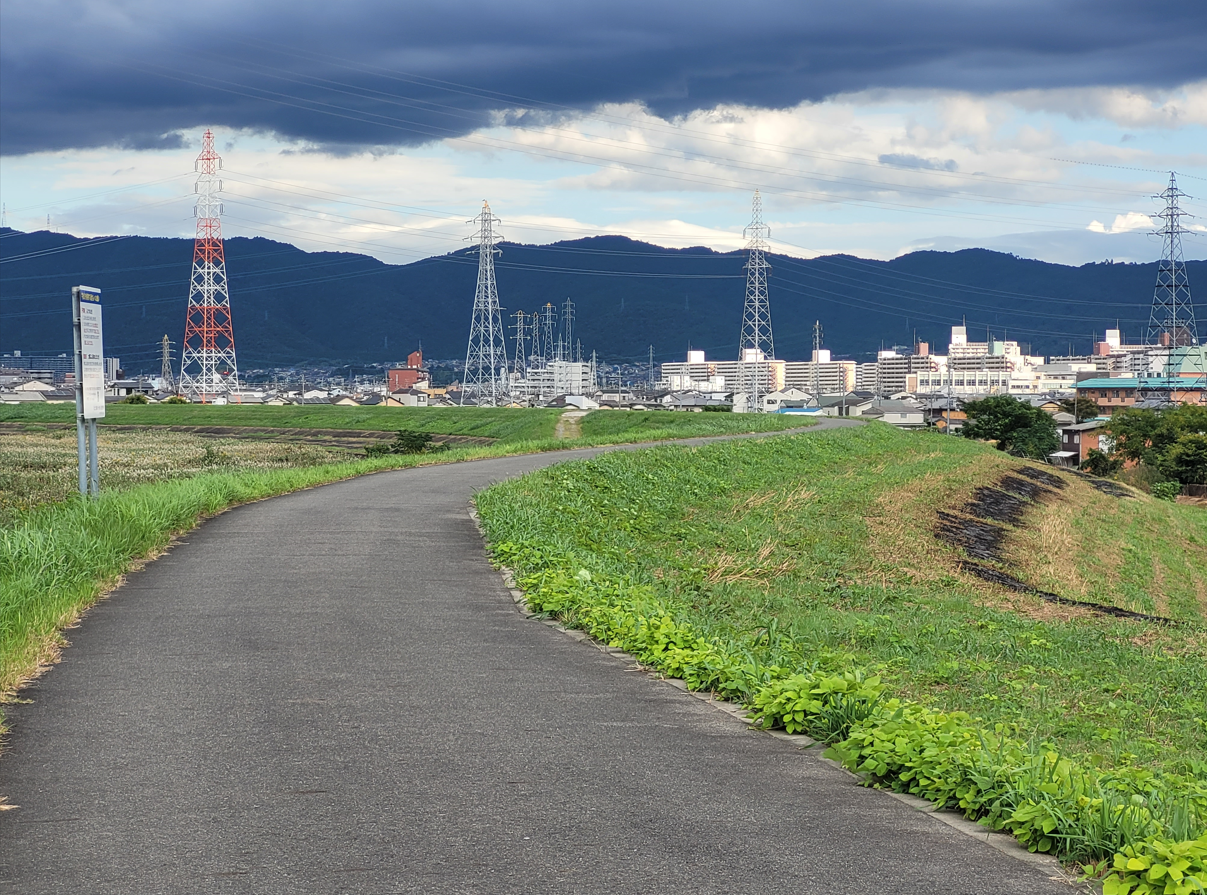 Exploring the mysterious beauty of Ujigawa Park