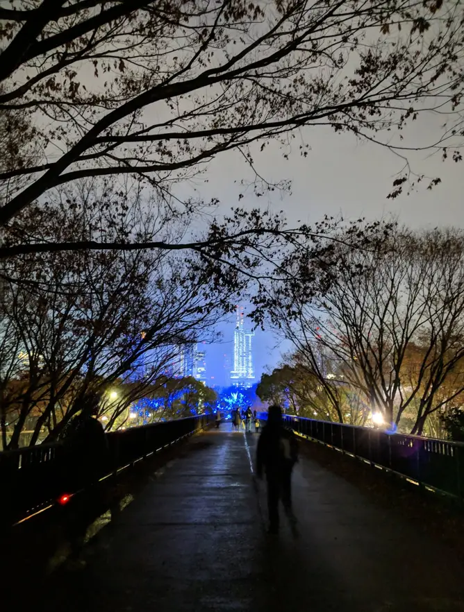 Yoyogi Park is the heart and soul of Tokyo City