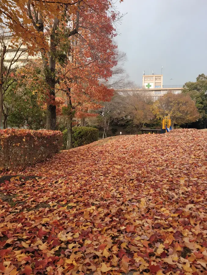 Exploring Obaku Park – Uji’s largest community and sports center