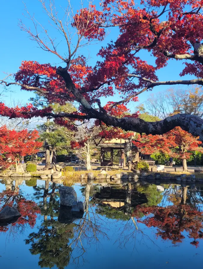 Exploring the autumn paradise of Kyoto’s most beautiful park