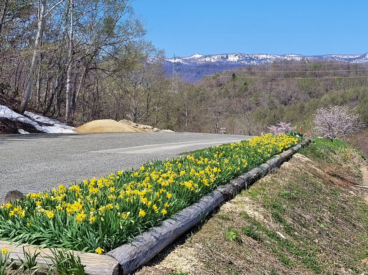 3 ways Hokkaido separates itself as a truly unique prefecture