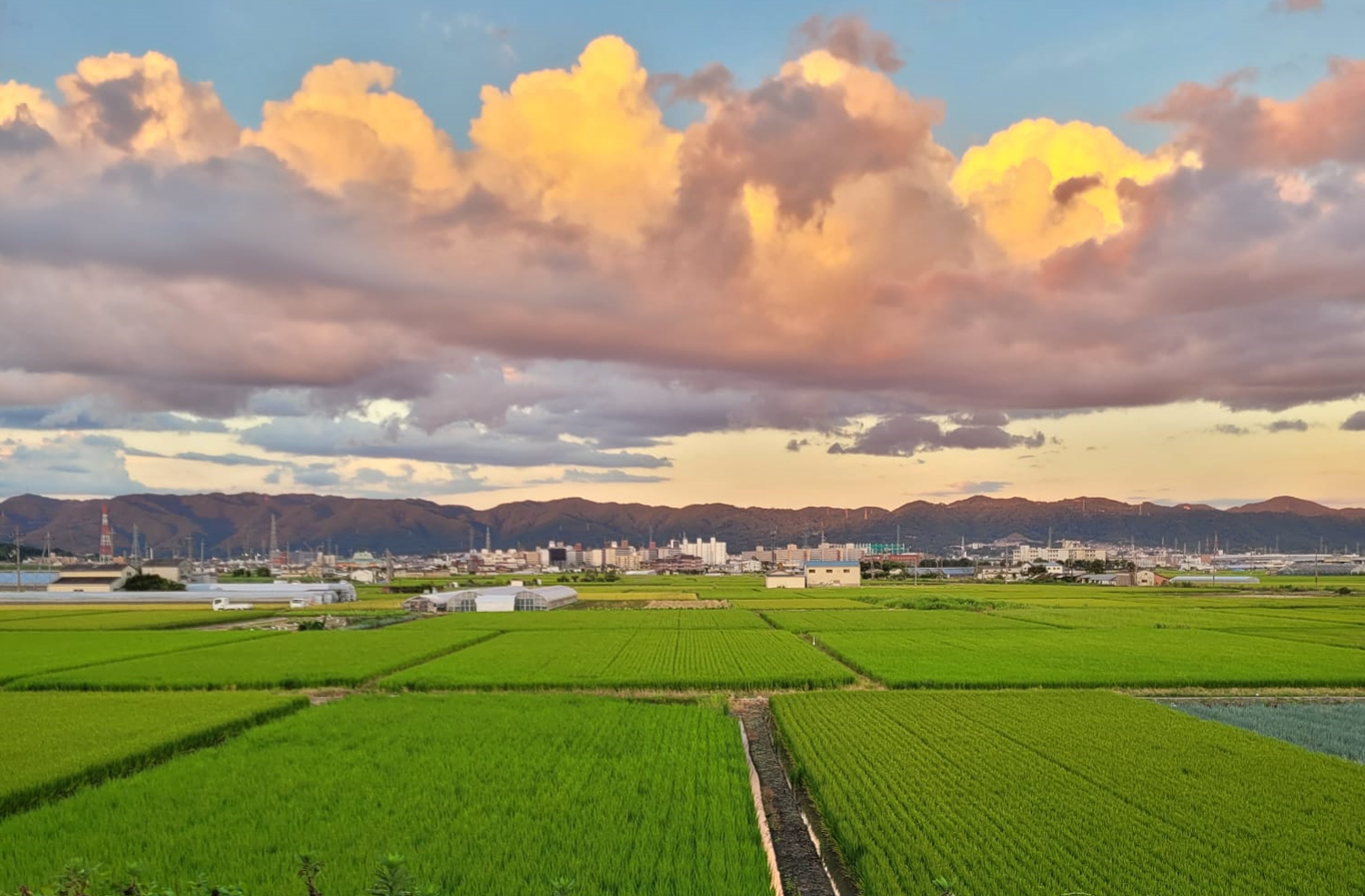 The ever-changing colors of Kyoto’s outback farmlands