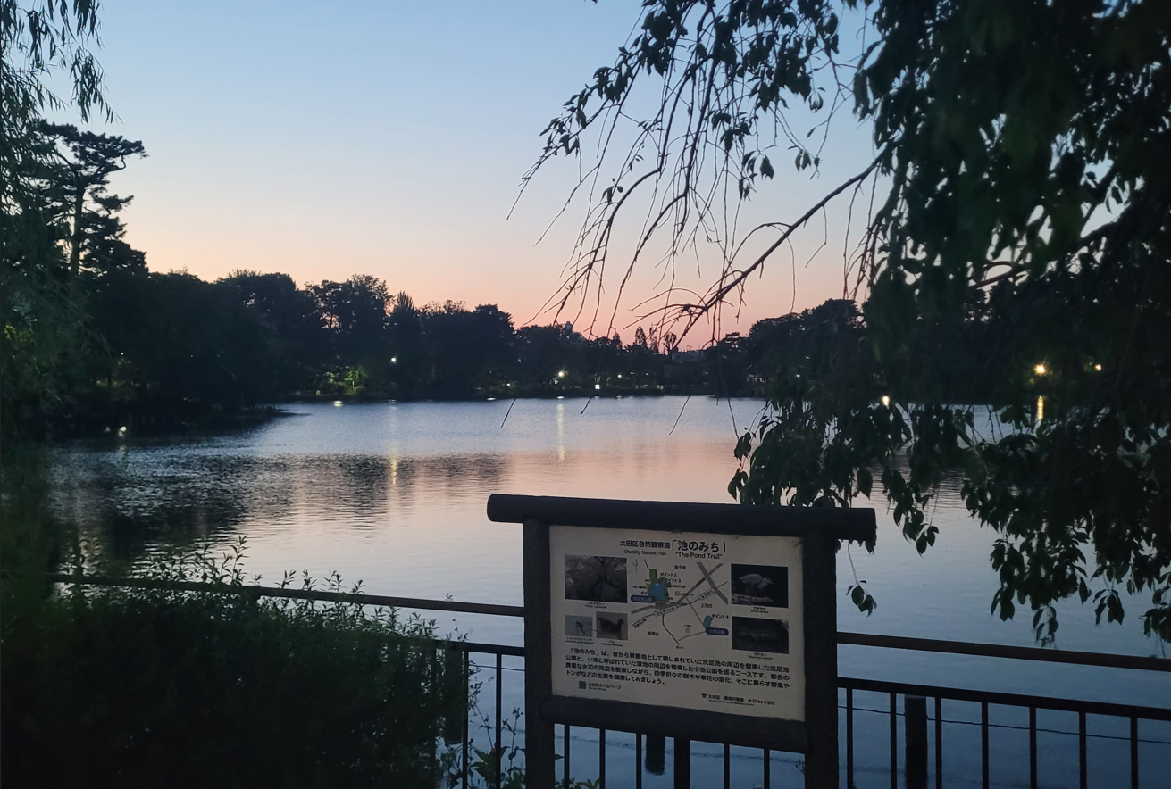 Exploring the beautiful Senzoku Pond at Ota’s Senzokuike Park