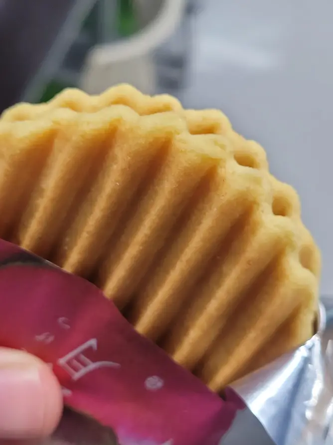 Trying Kyoto’s Zenkashoin confectionery’s “Phantom Moon” waffles