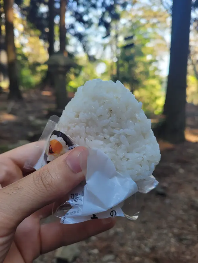 The best food supplies to bring on your next hike in Kyoto!