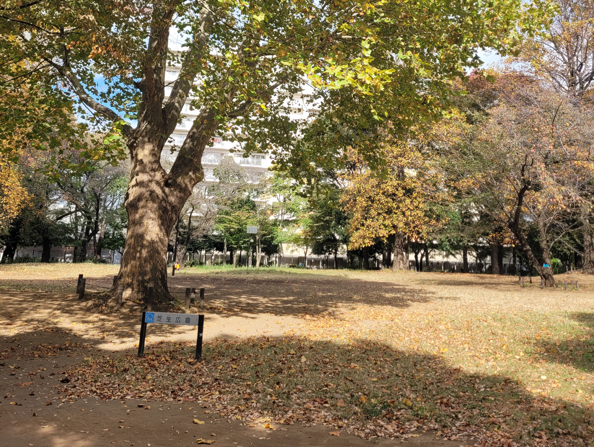 Top 5 parks in Tokyo prefecture based on scenic beauty