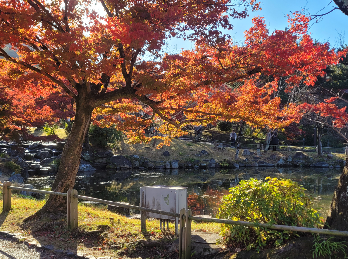 These 5 nature parks in Kyoto will take your breath away!