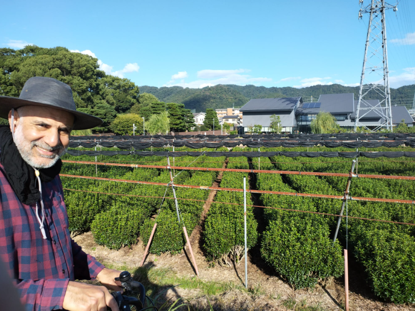 A Guide to Uji – Revisiting the scenic matcha town of Kyoto