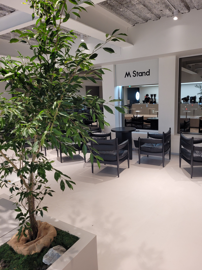 Revisiting the luxurious M Stand in Kyoto to try new drinks!