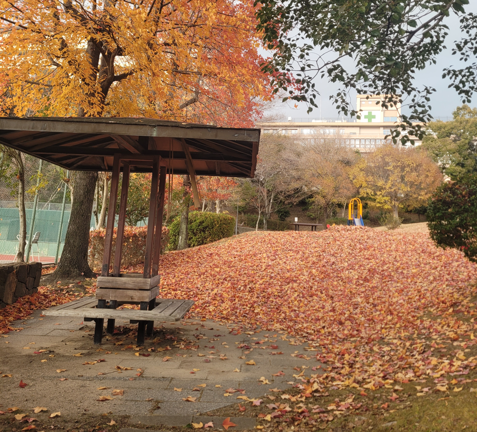 This One-Day Kyoto Itinerary Is Both Fulfilling And Relaxing