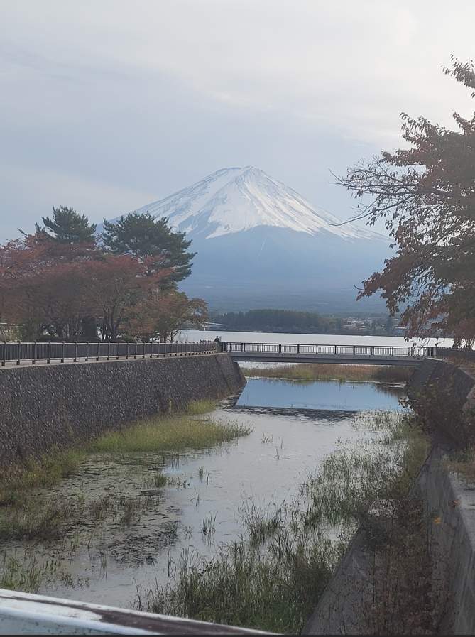 What are some recommended tourist destinations in Japan?