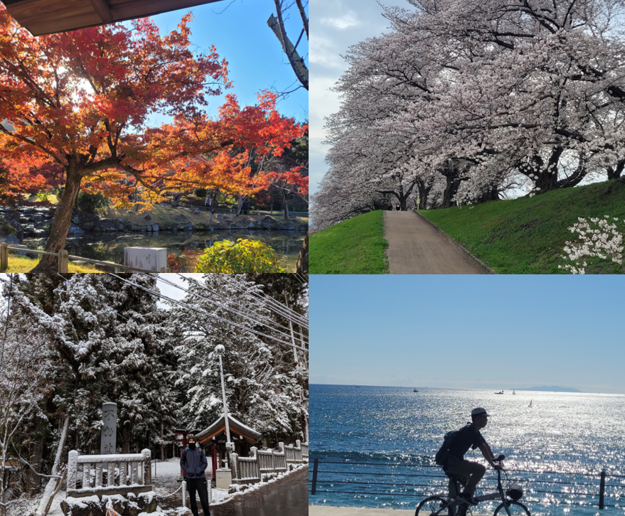 What is the best season to visit Japan?