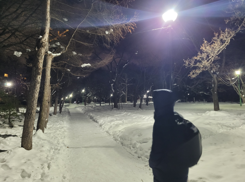 Snowfall at Maruyama Park, Sapporo.