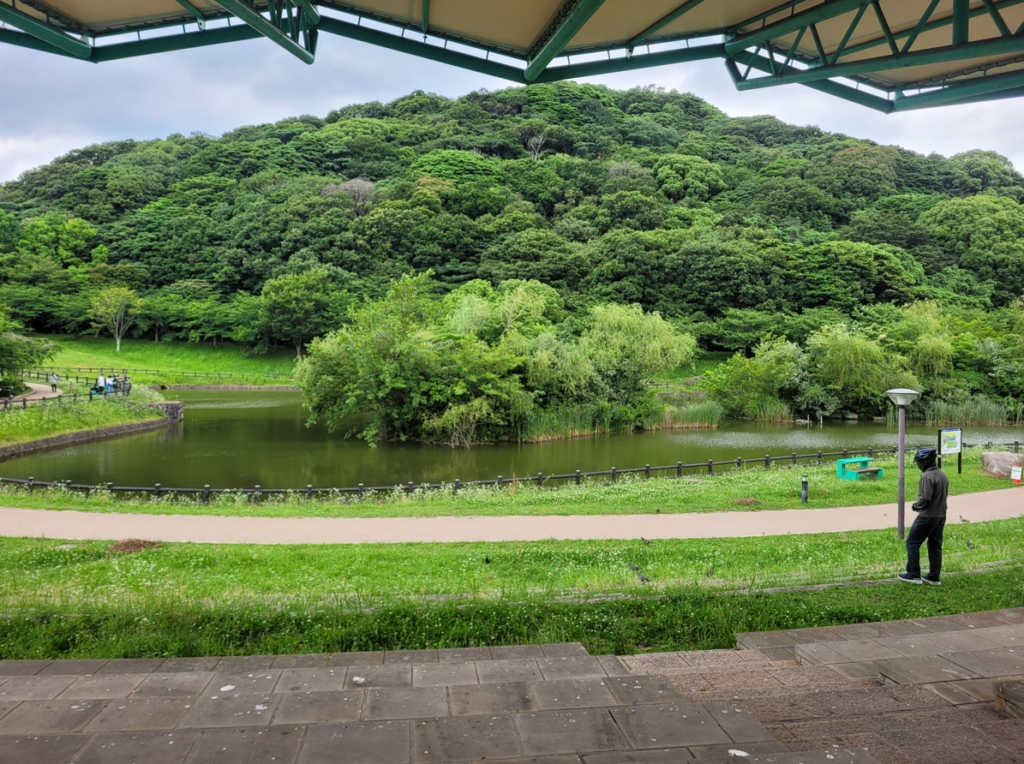 Fukuoka Kenei central park, Fukuoka.