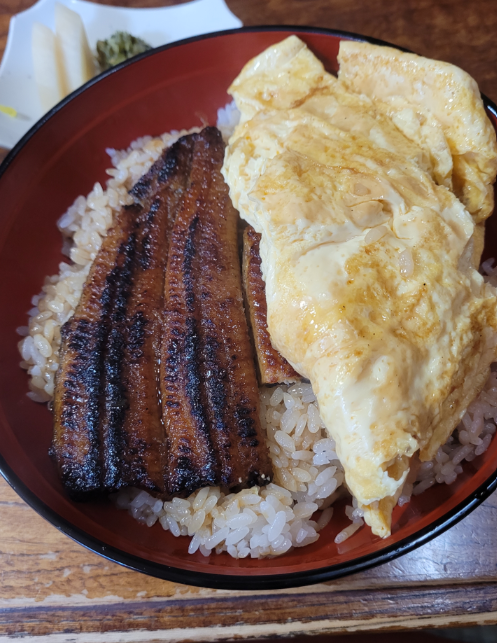 Unagi dish with rice and egg at Kyogoku Kaneyo in Kyoto.