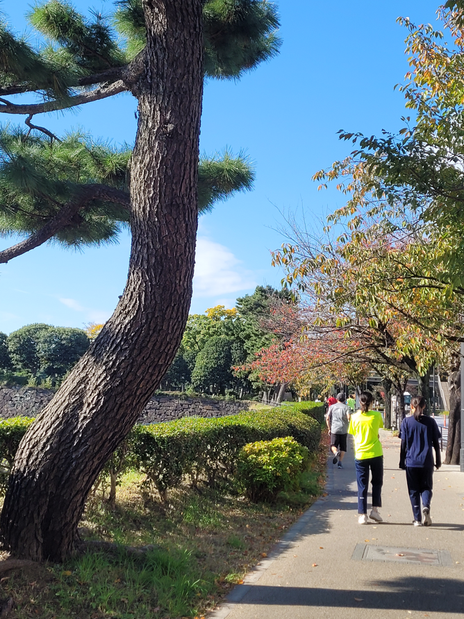Pedestrians strolling along near Tokyo Imperial Palace, Japan.