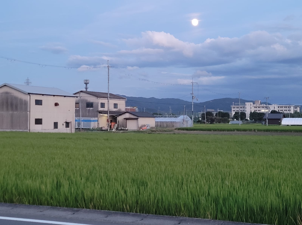 What it’s REALLY like to live and work in Kyoto
