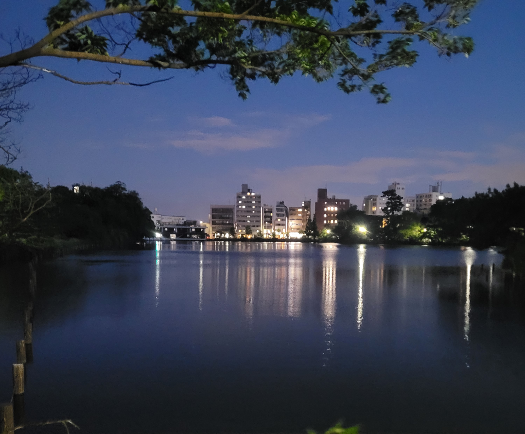 Exploring Off-the-Beaten-Path Locations in Tokyo