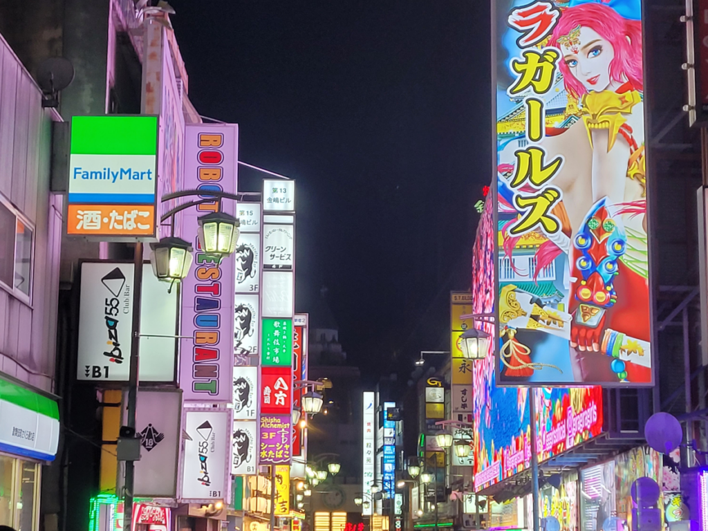 The sleazy night life of Shinjuku's Kabukicho street.