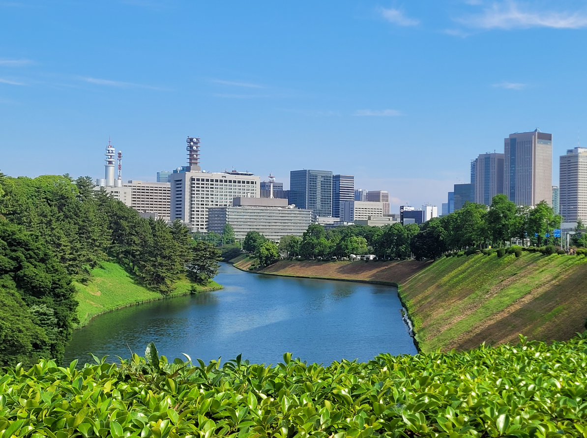 5 Reasons You Should Solo Travel Around Tokyo