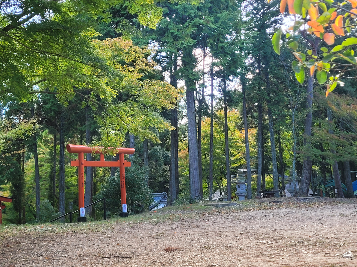 Japan Autumn 2026 – How to Make the Most of the Golden Season!